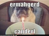 Ermahgerd Birthday Meme 17 Best Images About Ermahgerd Ermahgerds On Pinterest
