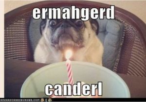 Ermahgerd Birthday Meme 17 Best Images About Ermahgerd Ermahgerds On Pinterest