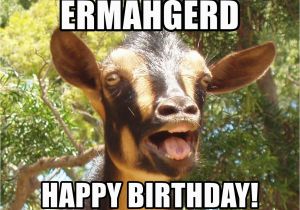 Ermahgerd Birthday Meme Ermahgerd Happy Birthday Illogical Goat Meme Generator