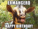 Ermahgerd Happy Birthday Meme Ermahgerd Happy Birthday Illogical Goat Meme Generator