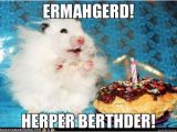 Ermahgerd Happy Birthday Meme Ermahgerd Herper Berthder Ermahgerd Birthday Hamster