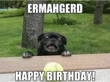 Ermahgerd Happy Birthday Meme Happy Birthday Memes Images About Birthday for Everyone