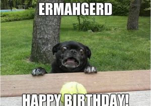 Ermahgerd Happy Birthday Meme Happy Birthday Memes Images About Birthday for Everyone