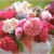 Exciting Birthday Gifts for Husband Best Gifts Ideas for Husband On His First Birthday after