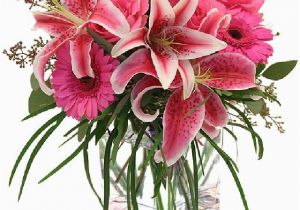 Exotic Birthday Flowers Birthday Flowers Images and Wallpapers Download