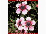 Exotic Birthday Flowers Exotic Flowers Birthday Card Zazzle