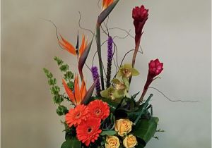 Exotic Birthday Flowers Exotic Rainbow Happy Birthday Occasions Shop