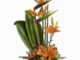 Exotic Birthday Flowers Teleflora 39 S Exotic Grace T77 1a 69 26