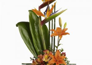 Exotic Birthday Flowers Teleflora 39 S Exotic Grace T77 1a 69 26