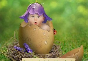 Face In Hole Birthday Card Just Hatched Make New Baby Announcement Card Online