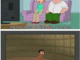 Family Guy Birthday Meme 77 Best Images About Family Guy Memes On Pinterest