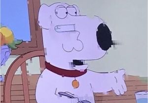 Family Guy Birthday Meme Happy Birthday Meg You 39 Re Fatt and Uggly Meme Brain From