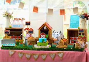 Farm Animal Birthday Party Decorations 1st Birthday Party Decorations for Baby Boy Birthday
