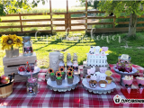 Farm Animal Birthday Party Decorations Barnyard Party Ideas Eli S Farm Birthday Party