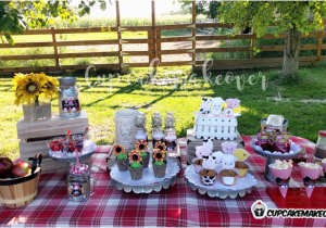 Farm Animal Birthday Party Decorations Barnyard Party Ideas Eli S Farm Birthday Party