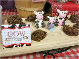 Farm Animal Birthday Party Decorations Farm Animal Birthday Party Ideas Moms Munchkins