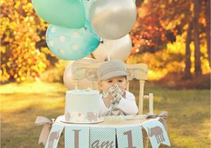 First Birthday Decoration Ideas for Boys 10 1st Birthday Party Ideas for Boys Part 2 Tinyme Blog