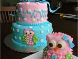 First Birthday Owl Decorations 17 Best Images About Kyleighs First Birthday On