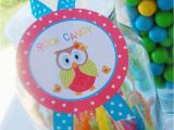 First Birthday Owl Decorations Kara 39 S Party Ideas Aloha Owl 1st Birthday Party Via Kara