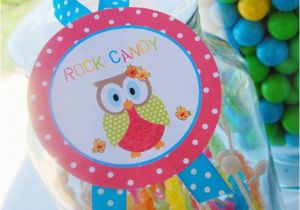 First Birthday Owl Decorations Kara 39 S Party Ideas Aloha Owl 1st Birthday Party Via Kara