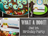 First Birthday Owl Decorations Owl 1st Birthday Party Mostly Homemade Mom