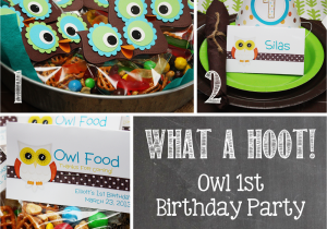 First Birthday Owl Decorations Owl 1st Birthday Party Mostly Homemade Mom