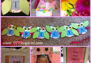 First Birthday Owl Decorations Owl themed First Birthday Diy Inspired