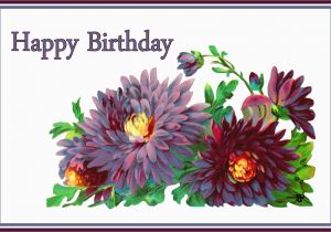 Flower Cards for Birthdays Flower Greeting Cards for Birthdays