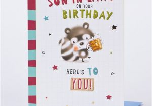 Free Birthday Cards for son In Law Birthday Card son In Law Raccoon Cartoon Only 59p