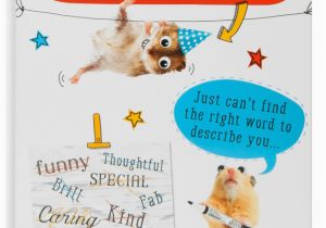 Free Birthday Cards for son In Law son In Law Birthday Funny Humour Joke Card Greetings