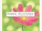 Free Birthday Facebook Cards Happy Birthday Free Birthday Cards for Facebook General