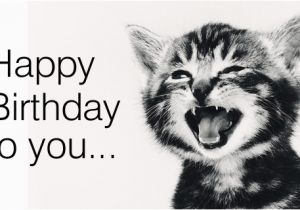 Free Funny Singing Email Birthday Cards Free Singing Cat Ecard Email Free Personalized Birthday