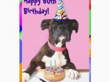 Free Happy 60th Birthday Cards Happy 60th Birthday Boxer Greeting Card Zazzle Co Uk