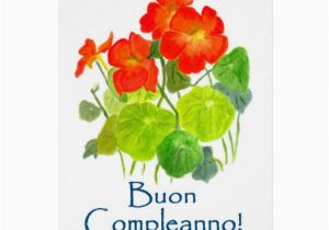 Free Italian Birthday Cards Nasturtiums Birthday Card Italian Greeting Zazzle