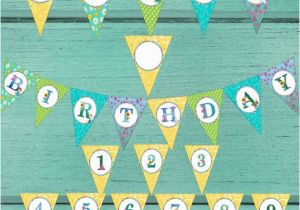 Frozen Fever Happy Birthday Banner Frozen Fever Happy Birthday Party Banner Instant Digital