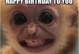 Funniest Birthday Memes Ever top 30 Funny Birthday Quotes Quotes Humor