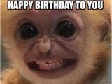 Funniest Birthday Memes Ever top 30 Funny Birthday Quotes Quotes Humor