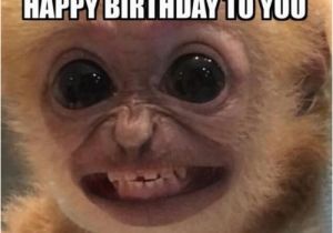 Funniest Birthday Memes Ever top 30 Funny Birthday Quotes Quotes Humor