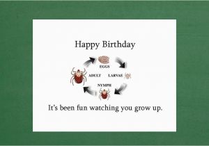 Funny 16th Birthday Cards Birthday Card 17th Birthday Card 16th Birthday Card 15th
