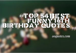 Funny 16th Birthday Cards top 54 Best Funny 16th Birthday Quotes Quotes