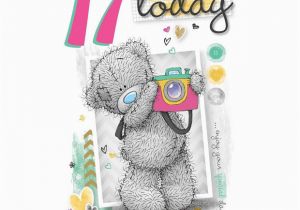Funny 17th Birthday Cards Me to You 17 today 17th Birthday Photographer Card