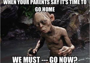 Funny 18th Birthday Memes We Must Go now Smeagol Lord Of the Rings Gollum