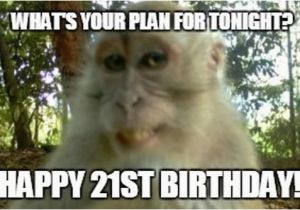 Funny 21 Birthday Meme 21st Birthday Memes Wishesgreeting