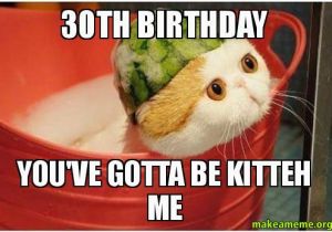 Funny 30th Birthday Memes 30th Birthday You 39 Ve Gotta Be Kitteh Me Make A Meme