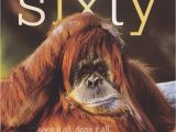 Funny 60th Birthday Memes Age 60 Funny Birthday Card orangutan Framed Cardspark