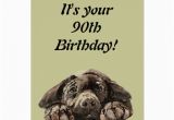 Funny 90th Birthday Cards Funny 90th Birthday Customize Labrador Retriever Card Zazzle