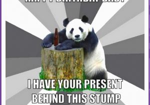 Funny Animal Birthday Memes Happy Birthday Memes with Funny Cats Dogs and Cute Animals