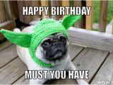 Funny Animal Birthday Memes Incredible Happy Birthday Memes for You top Collections