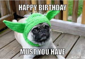 Funny Animal Birthday Memes Incredible Happy Birthday Memes for You top Collections