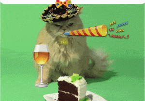 Funny Anime Birthday Cards Birthday Wishes Happy Birthday Gif Celebrating Cat